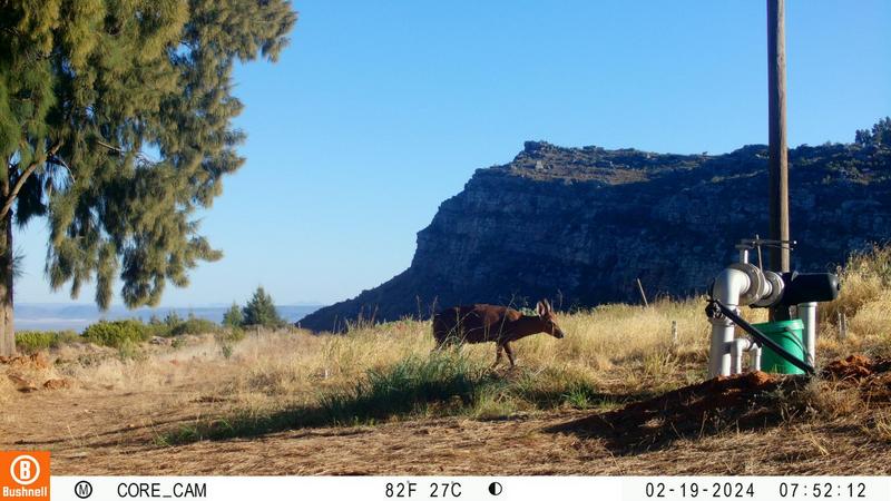 0 Bedroom Property for Sale in Piketberg Rural Western Cape